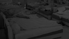 DVA ZADRUGARA UHVAĆENA U GEJ AKCIJI? Zajedno u krevetu, krenuli da se maze i češkaju misleći da ih kamera ne snima, a onda mu je on zavukao ruku, šok (VIDEO)