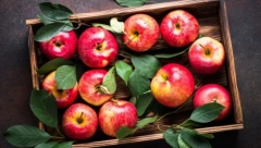 VAŠE OMILJENO VOĆE MNOGO OTKRIVA O VAMA Jabuke vole vesele i dobre osobe