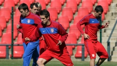 KAKAV SAM JA DEBIL Bivši reprezentativac u šoku, zbog kučeta propustio spektakl (VIDEO)