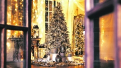 OPASNI UKRASI ZA JELKU Mnogi ne znaju da su u kuću uneli otrovni proizvod