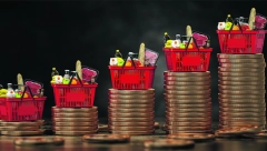 PRED NJIMA SU TEŠKI DANI Austrijance u 2022. čeka čitava serija poskupljenja!