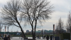 VREME U SRBIJI DO KRAJA FEBRUARA ĆE MNOGE IZNENADITI Ovome se niko nije nadao