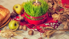 ZA SREĆU, ZDRAVLJE I LJUBAV U DOMU Danas izgovorite ovu molitvu i pojedite šaku maka