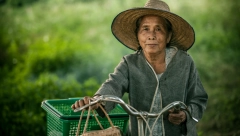 ZBOG OVE NAMIRNICE, JAPANCI ŽIVE 100 GODINA Srbi misle da je štetna i beže od nje kao đavo od krsta