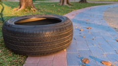 Ne bacajte stare automobilske gume! Uz malo truda svako može da napravi ovaj interesantan komad nameštaja