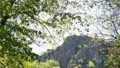 OVO BI MOGLO BITI NAJBOGATIJE SELO U SRBIJI U srcu Šumadije na 200 metara nalazi se čak 10 izvora zdrave pijaće vode (FOTO)