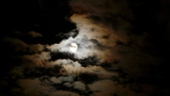 SUTRA SLAVIMO BOGOJAVLJENJE, JEDAN OD NAJMOĆNIJIH DANA U ponoć pogledajte u nebo, a ujutro iz crkve uzmite jednu stvar