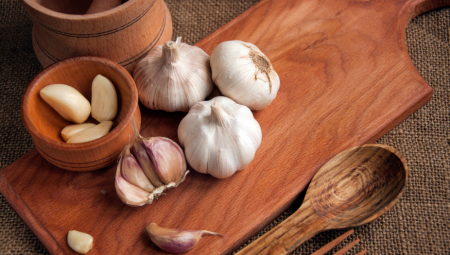 Odličan narodni lek: Kombinacija belog luka i meda je moćno sredstvo protiv bakterijskih infekcija