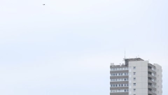 SUDIJA HITNO PREKINUO MEČ Pogled u nebo bio je presudan (FOTO, VIDEO)
