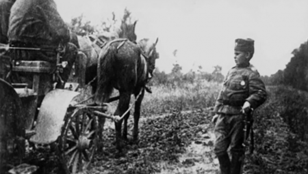 DANAS JE DAN PRIMIRJA U PRVOM SVETSKOM RATU "Svaka nam je kuća bila zavijena u crno, prva žrtva bio je dečak"