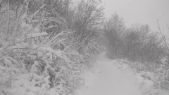MUKE NADOMAK TOPOLE "Jedva sam prošao kolima..."