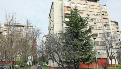 PAKLENE KOMŠIJE Alo! razgovarao s upravnicima zgrada o tome na šta im se sve stanari žale: Bučan seks i nekako, ali đubre ne trpim nikako!