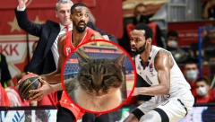 RAT "GROBARA" I "DELIJA" NA DRUŠTVENIM MREŽAMA! Za koga navija mačka Ljubica? (FOTO)