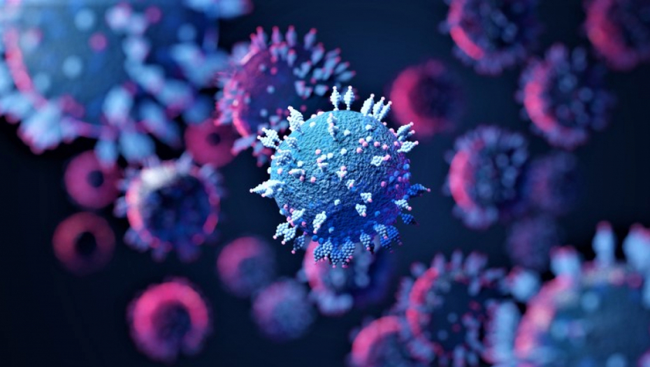 POJAVIO SE NOVI SOJ Epidemiolog objašnjava ima li mesta za zabrinutost