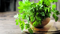 OVA BILJKA ČUVA ORGANIZAM Pomaže kod ekcema i svraba