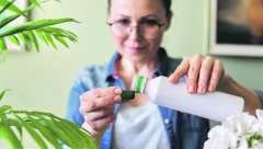 KAKO OŽIVETI SOBNU BILJKU KOJA UMIRE? Uz ove trikove sve je moguće, nikako ih ne bacajte