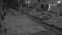 NOVA BRUTALNA AKCIJA DALILE I CARA! Tresla se spavaća soba, zadrugari potpuno izgubili kontrolu! (VIDEO +18)