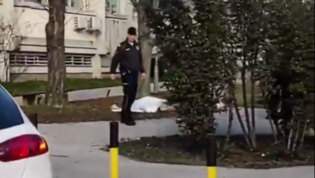 JEZIVA SCENA U ZEMUNU Leš pronađen između zgrada!