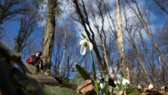 INVESTICIJA PARA VREDNA Evo kolika su ulaganja na 10 ari zemljišta, a donosi veliku zaradu!