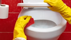 Za čisto i mirisno kupatilo: Napravite sami sredstvo za čišćenje WC šolje