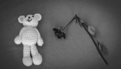 "KADA SAM STIGAO VEĆ JE BILO KASNO" Dečak je nepomično ležao i gledao u plafon, a iz grudi se čuo čudan zvuk (UZNEMIRUJUĆA FOTOGRAFIJA)