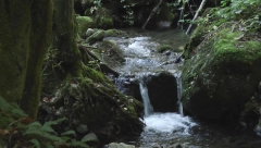 POSLEDNJI SPAS NA ČUDOTVORNOM IZVORU Ako tri puta popijte vodu ostaćete u drugom stanju, ovo prirodno otkriće nadaleko je poznato! (FOTO)