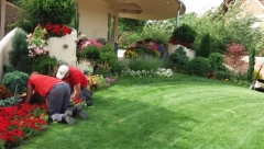 Obavite pripreme za radove u dvorištu: Evo kad je vreme da se doseje travnjak