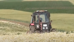 HOROR KOD NOVOG BEČEJA Kamion se zabio u traktorsku korpu, jedan mrtav!