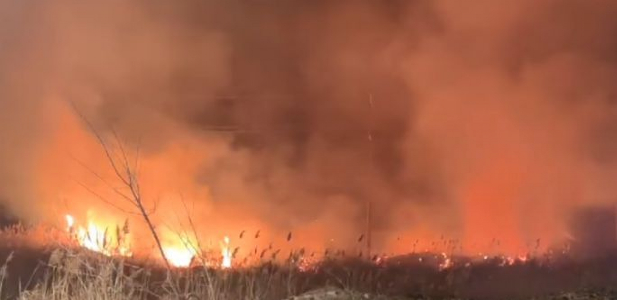 VELIKI POŽAR U SREMSKOJ MITROVICI  Vatrogasne službe odmah reagovale