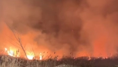 STRAVIČAN POŽAR U NOVOJ PAZOVI Vatra gutala sve pred sobom (VIDEO)