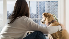 SJAJNO SE SLAŽU SA DECOM I VRLO SU ODANI Ove rase pasa su pravi porodični psi