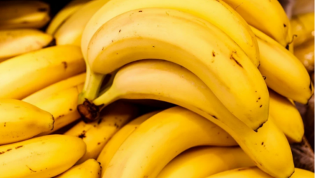 RUSKO UCENJIVANJE BANANAMA Ekvador se predomislio, neće slati oružje Ukrajini
