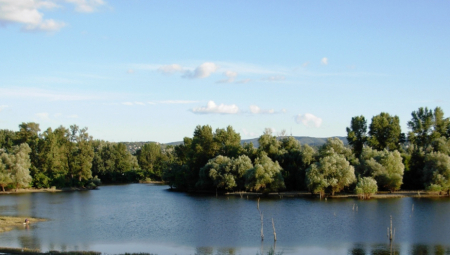 ŠODROŠ ĆE BITI DEO SVETA! Stručnjaci poručuju da planirana izgradnja veslačke staze doprinosi smanjenju zagađenja i moći će da je koriste svi!