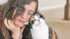 Postoji razlog: Zbog čega mačka mjauče ispred vrata bez prestanka?