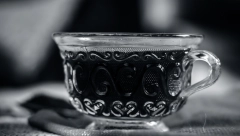 U NARODU SE KAŽE DA "LEČI SVE OSIM SMRTI" On je najlekovitiji čaj na svetu, naši preci su se kleli u njegovu isceliteljsku moć