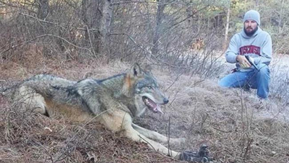 U ŠUMI JE PRONAŠAO USAMLJENOG VUKA A onda je doneo odluku koja mu je promenila život