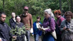 NAJMLAĐI TRAVAR U SRBIJI OTKRIVA TAJNE LEKOVITIH BILJAKA: Ova raste iz asfalta i opstaje svuda, a super je za ceo organizam