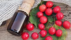 NAPRAVITE SAMI DOMAĆI SIRUP Najmoćnija biljka na svetu kod nas raste kao korov, najviše će pomoći ljudima koji su doživeli INFARKT