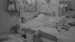 DALILA I CAR U NIKAD ŽEŠĆOJ AKCIJI! Tresli se susedni kreveti, probudili zadrugare, Ša doživeo erekciju kada je video brutalne scene se*sa! (VIDEO +18)