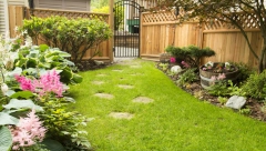 PREDSTAVLJAMO VAM TRIK ZA PREDIVNU BAŠTU Samo treba da posadite ovu biljku koja će vaše dvorište učiniti veličanstvenim