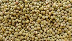 OZLOGLAŠENA NAMIRNICA KOJU SU ŽENE IZBEGAVALE Doktor sada tvrdi da je jedna od najzdravijih i da čak sprečava pojavu raka!