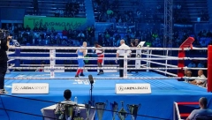 BOKS SE VRATIO KUĆI Spektakularan početak Beogradskog pobednika - tresla se Hala sportova!