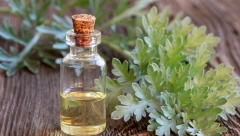 PRIRODNI LEKOVITI LIKER Napravite lako "pelinkovac" od 5 biljaka, za jačanje želuca