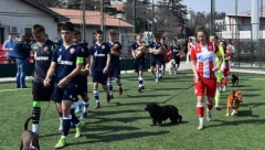 Crvena zvezda prikupila pomoć za nezbrinute životinje