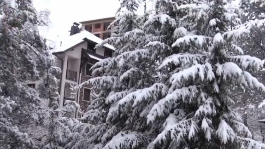 ZABELEO SE ZLATIBOR Prve fotografije zimske idile sa srpske planine, zavejalo preko noći! (FOTO)