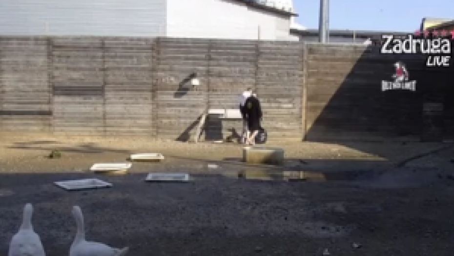 POJAVIO SE SNIMAK JANJUŠEVOG BEKSTVA IZ RIJALITIJA! Zadrugar polomio ogradu, otkriveno i ko mu je pomogao! (VIDEO)