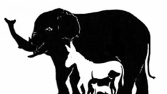 KOLIKO ŽIVOTINJA VIDITE NA SLICI?  Brojka će vas iznenaditi, možda otkrijete da ste baš posebni!