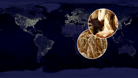 KRENUO PRVI TERETNI BROD SA ŽITOM Rusi izdali važno saopštenje