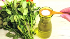 AKO NISTE ZNALI Cveće u vazi može biti sveže deset dana