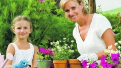 PRIPREMITE VAŠU TERASU ILI VRT U rano proleće ove sorte cveće su idealne za sadnju